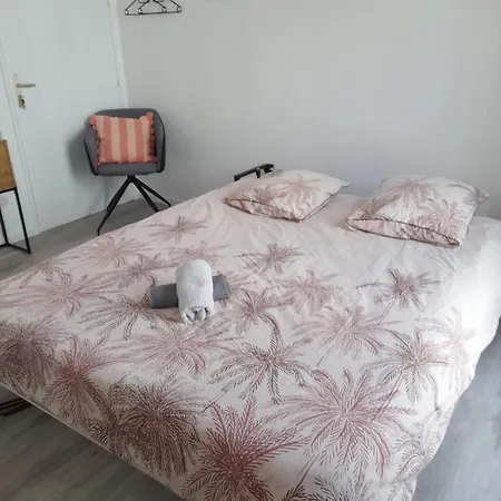 Proche Chu Apartment *